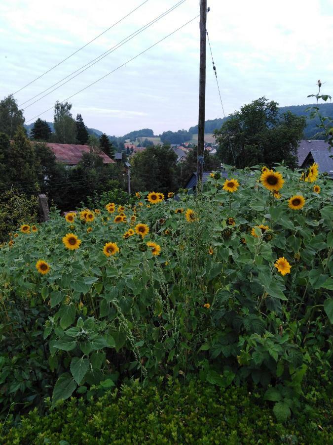Landpension Haupt Sebnitz Luaran gambar